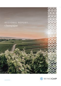 Fine Wine Taxation Guide