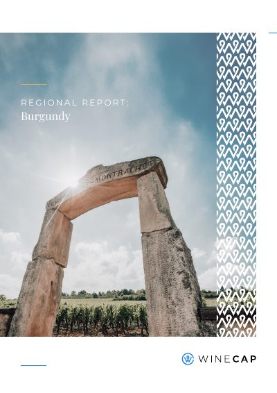 Burgundy Report Cover